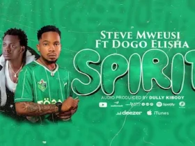 Steve Mweusi Ft Dogo Elisha - Spirit | Download