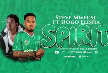 Steve Mweusi Ft Dogo Elisha - Spirit | Download